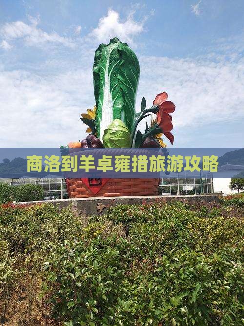 商洛到羊卓雍措旅游攻略