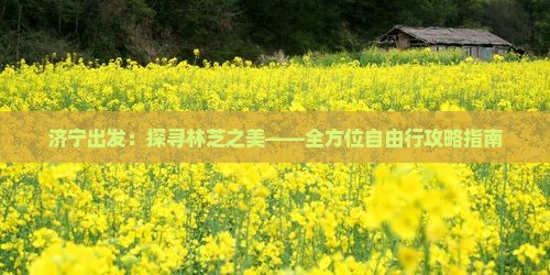 济宁出发：探寻林芝之美——全方位自由行攻略指南