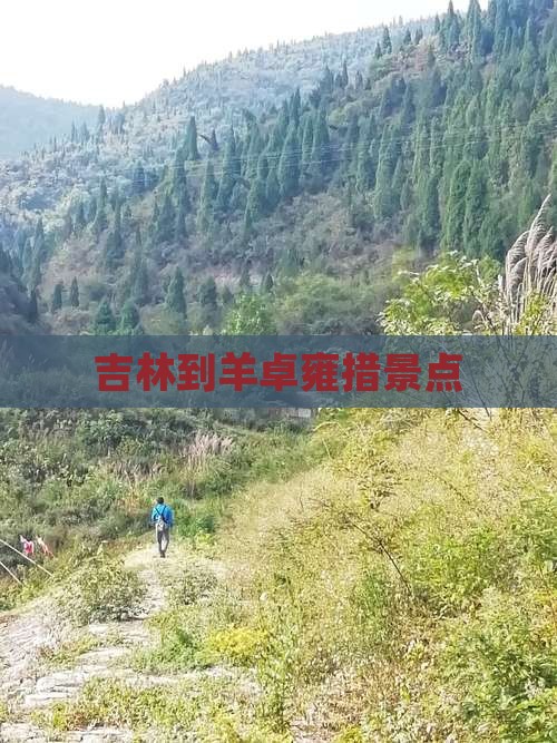 吉林到羊卓雍措景点