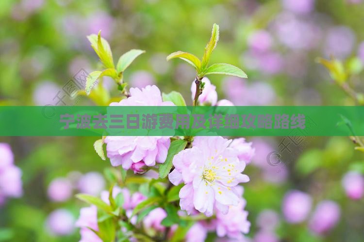 宁波去三日游费用及详细攻略路线