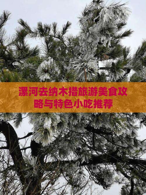 漯河去纳木措旅游美食攻略与特色小吃推荐