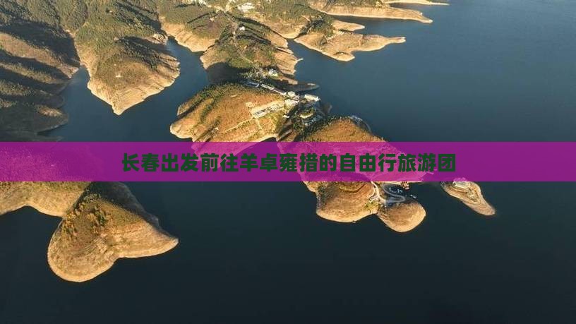 长春出发前往羊卓雍措的自由行旅游团
