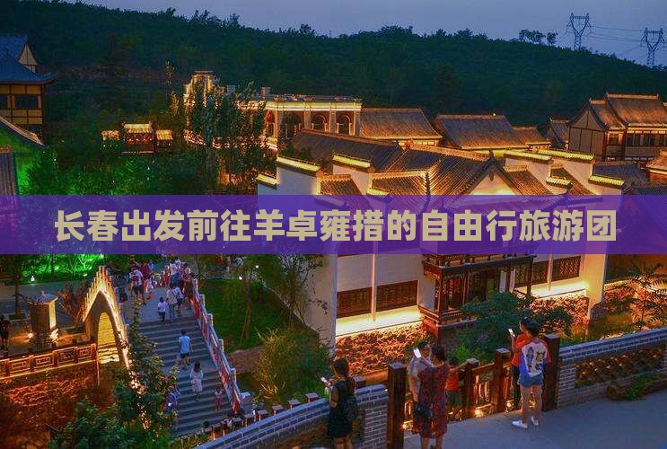长春出发前往羊卓雍措的自由行旅游团