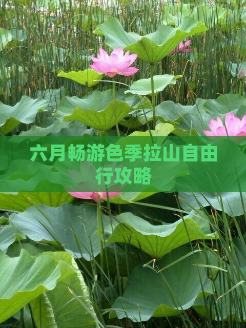六月畅游色季拉山自由行攻略