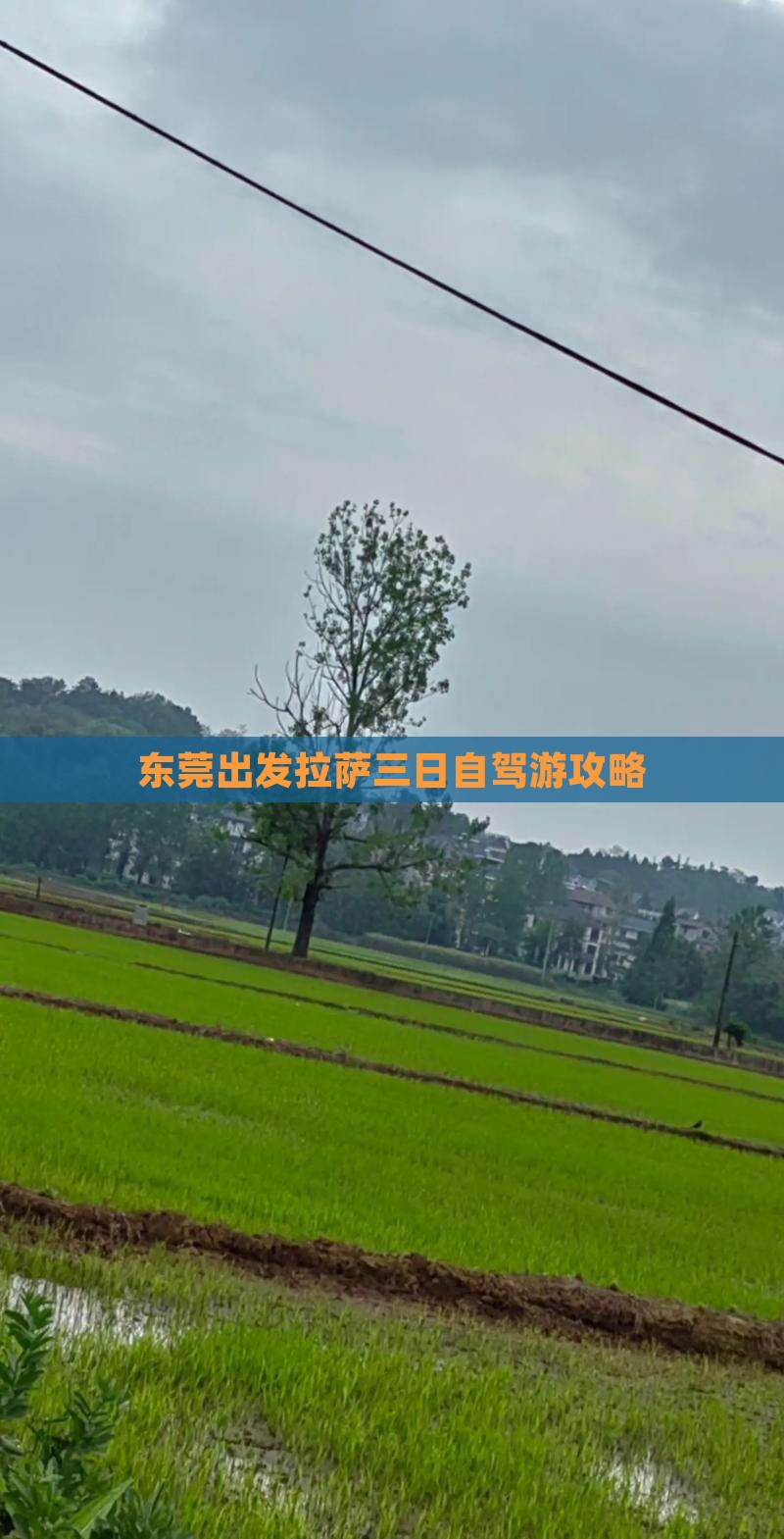 东莞出发拉萨三日自驾游攻略