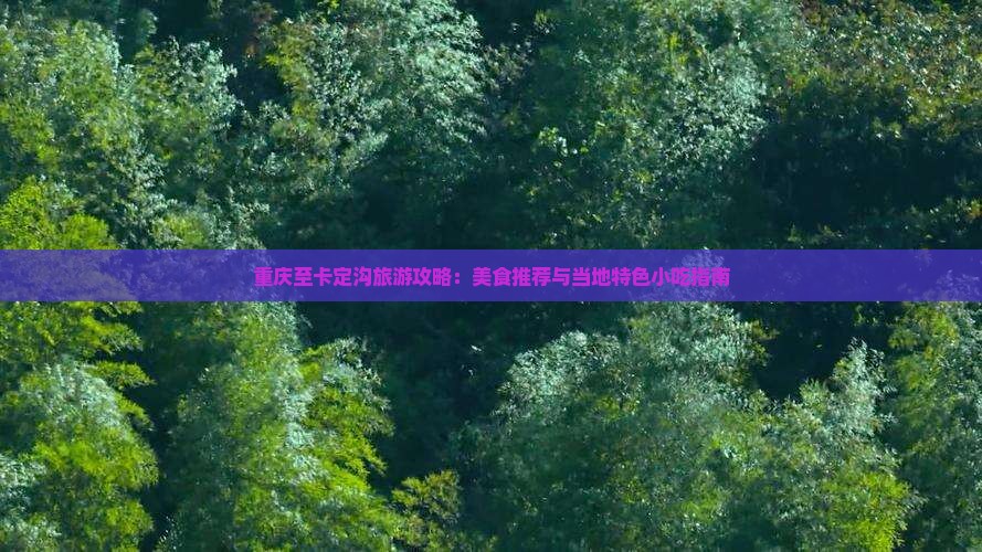 重庆至卡定沟旅游攻略：美食推荐与当地特色小吃指南