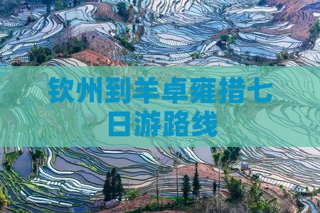 钦州到羊卓雍措七日游路线