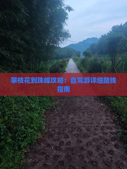 攀枝花到珠峰攻略：自驾游详细路线指南