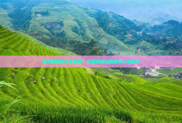 库尔勒到林芝必去地：自驾游精选路线与必游景点