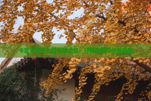 卡定沟元旦七日探险之旅：行程攻略与必备指南