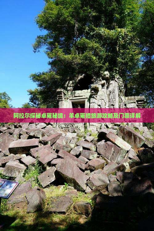 阿拉尔探秘卓雍秘境：羊卓雍措旅游攻略及门票详解