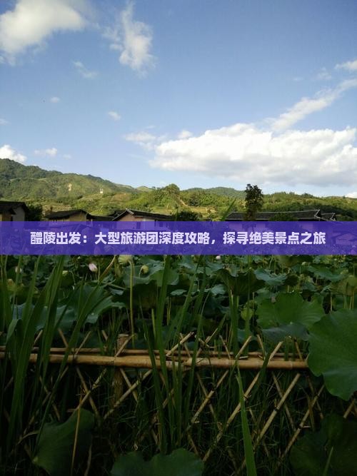 醴陵出发：大型旅游团深度攻略，探寻绝美景点之旅