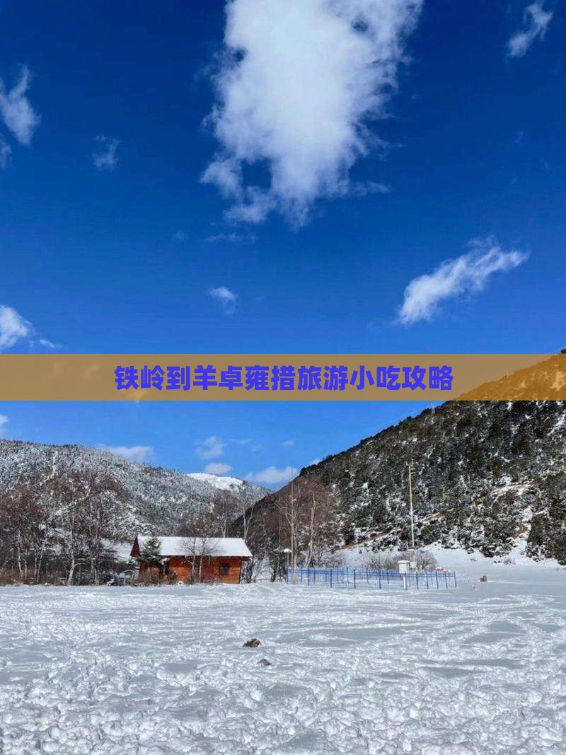 铁岭到羊卓雍措旅游小吃攻略