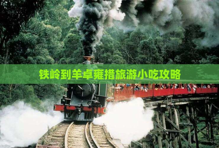 铁岭到羊卓雍措旅游小吃攻略