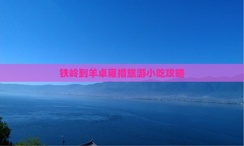 铁岭到羊卓雍措旅游小吃攻略