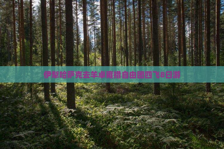 伊犁哈萨克去羊卓雍措自由团四飞8日游