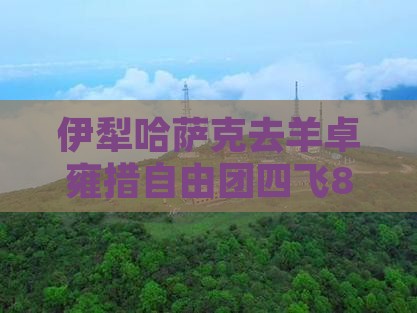 伊犁哈萨克去羊卓雍措自由团四飞8日游