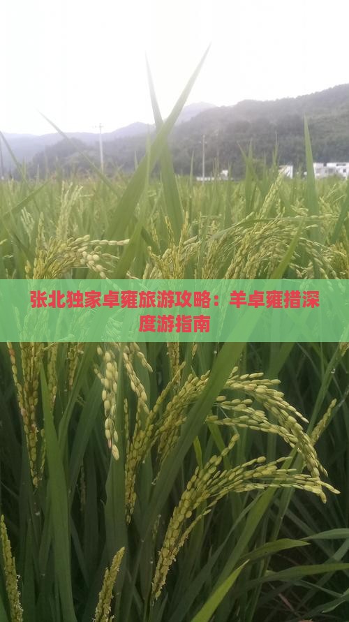 张北独家卓雍旅游攻略：羊卓雍措深度游指南