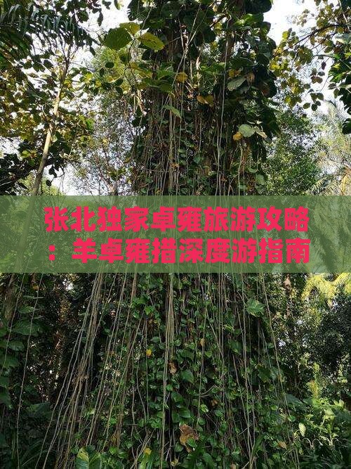张北独家卓雍旅游攻略：羊卓雍措深度游指南