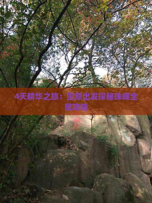 4天精华之旅：固原出发探秘珠峰全景攻略