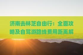 济南去林芝自由行：全面攻略及自驾游路线费用距离解析