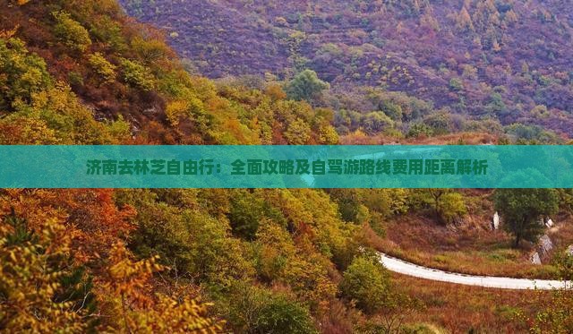 济南去林芝自由行：全面攻略及自驾游路线费用距离解析