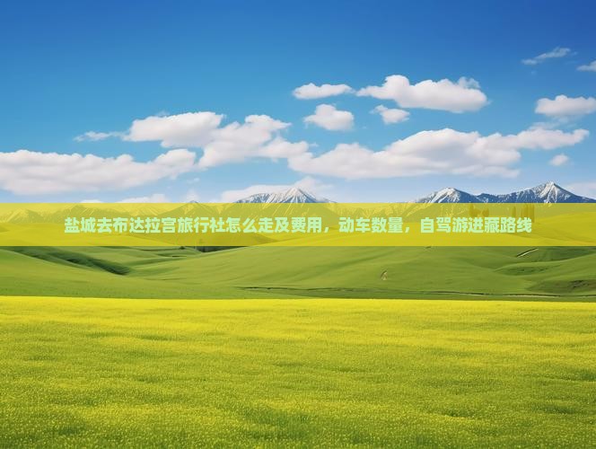 盐城去布达拉宫旅行社怎么走及费用，动车数量，自驾游进藏路线