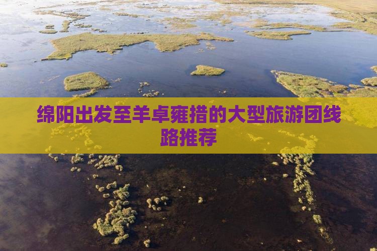 绵阳出发至羊卓雍措的大型旅游团线路推荐