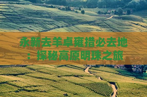 永新去羊卓雍措必去地：探秘高原明珠之旅