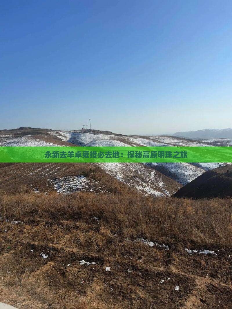永新去羊卓雍措必去地：探秘高原明珠之旅