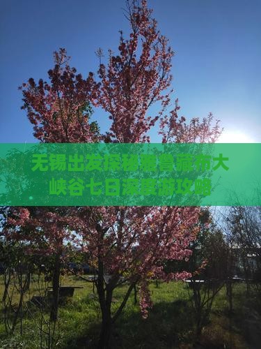 无锡出发探秘雅鲁藏布大峡谷七日深度游攻略
