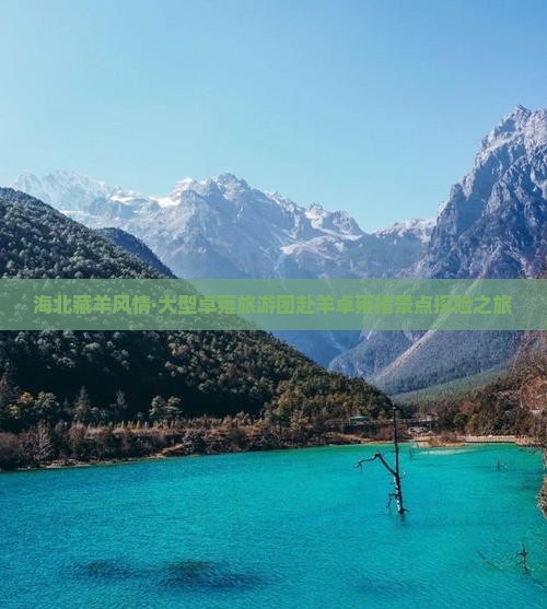 海北藏羊风情·大型卓雍旅游团赴羊卓雍措景点探险之旅
