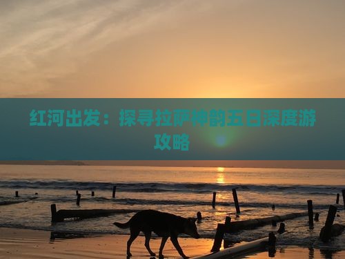 红河出发：探寻拉萨神韵五日深度游攻略