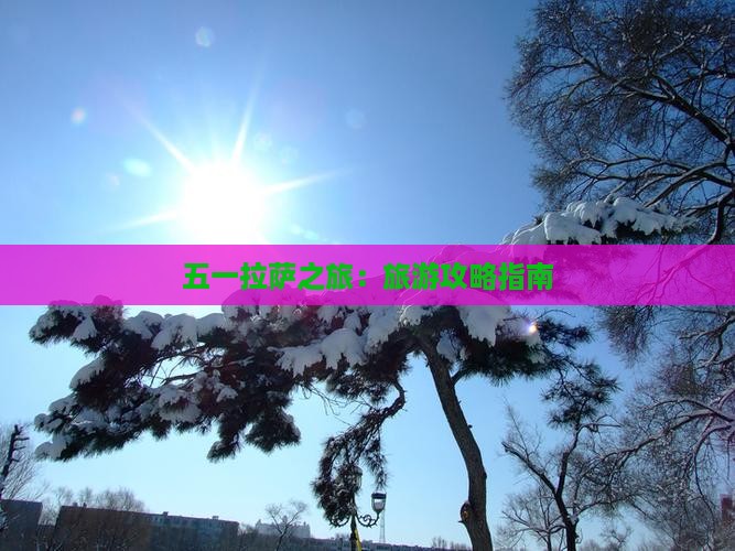 五一拉萨之旅：旅游攻略指南