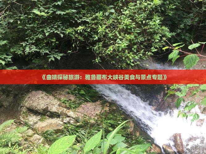 《曲靖探秘旅游：雅鲁藏布大峡谷美食与景点专题》