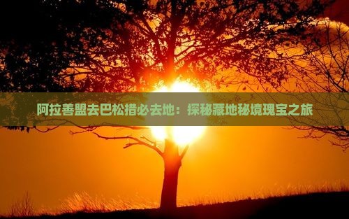 阿拉善盟去巴松措必去地：探秘藏地秘境瑰宝之旅