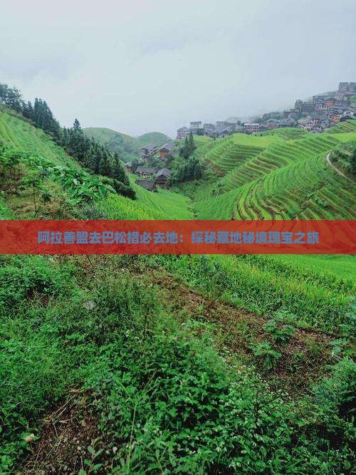 阿拉善盟去巴松措必去地：探秘藏地秘境瑰宝之旅