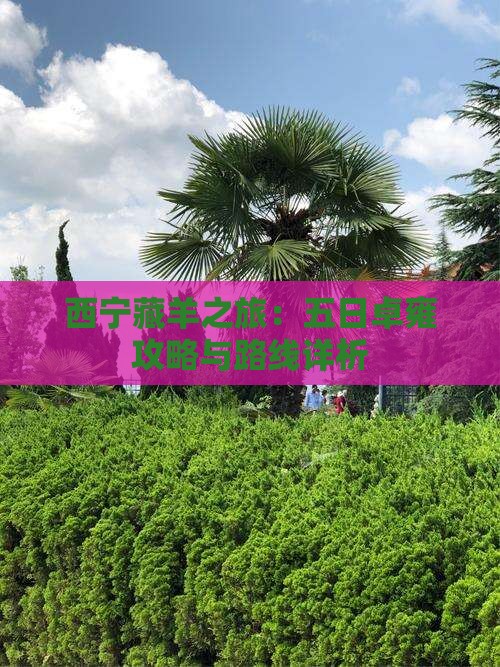 西宁藏羊之旅:五日卓雍攻略与路线详析 西宁藏羊之旅:五日卓雍攻略与路线详析