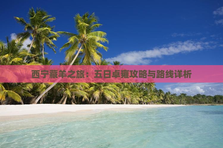 西宁藏羊之旅:五日卓雍攻略与路线详析 西宁藏羊之旅:五日卓雍攻略与路线详析