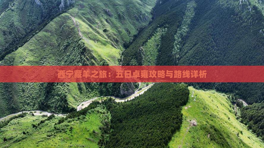 西宁藏羊之旅:五日卓雍攻略与路线详析 西宁藏羊之旅:五日卓雍攻略与路线详析
