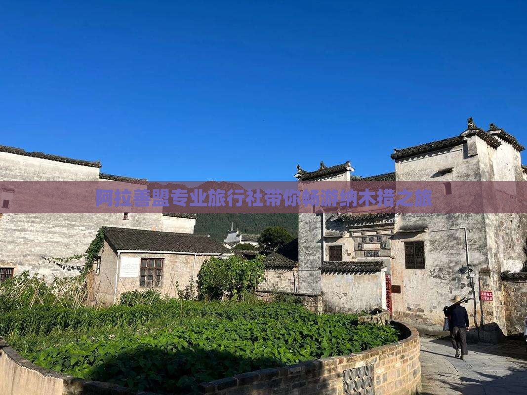 阿拉善盟专业旅行社带你畅游纳木措之旅