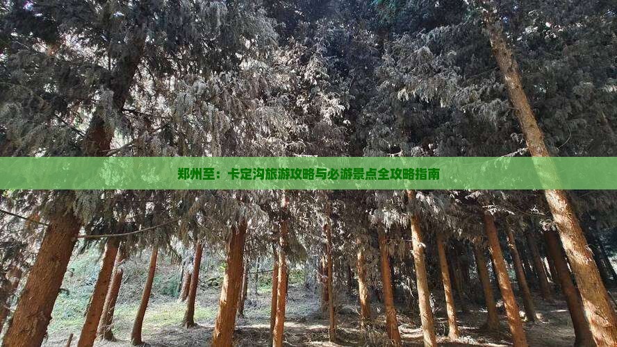 郑州至：卡定沟旅游攻略与必游景点全攻略指南