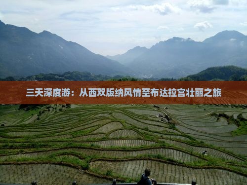 三天深度游：从西双版纳风情至布达拉宫壮丽之旅