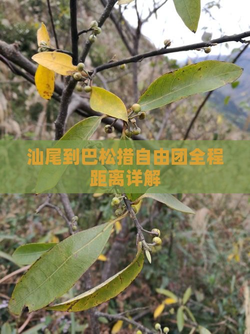 汕尾到巴松措自由团全程距离详解