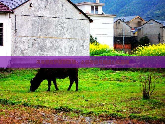 乌海至拉萨旅游攻略：必尝美食与地道小吃指南