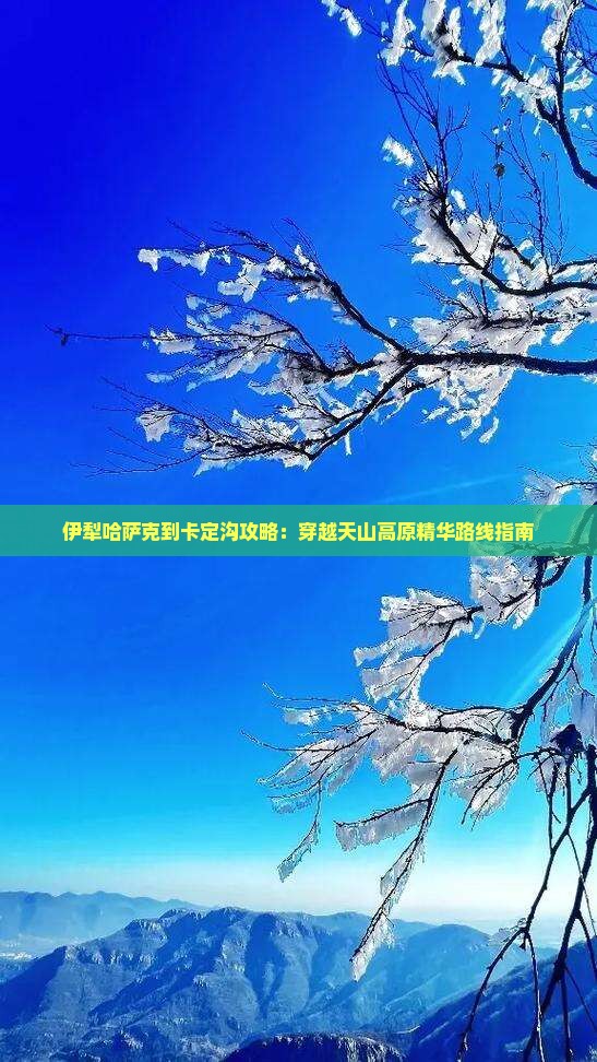 伊犁哈萨克到卡定沟攻略：穿越天山高原精华路线指南