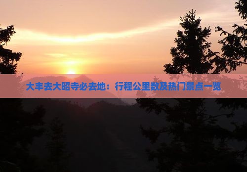 大丰去大昭寺必去地：行程公里数及热门景点一览