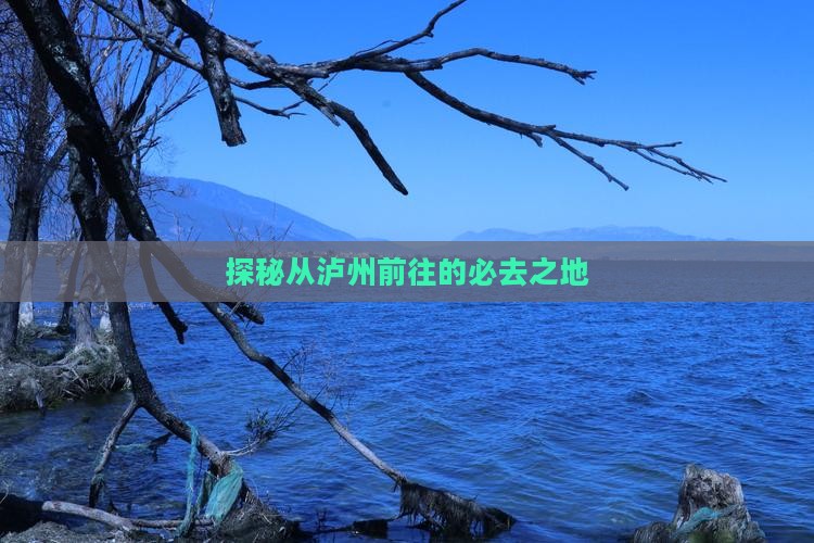 探秘从泸州前往的必去之地