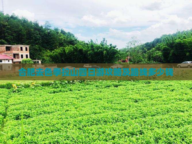 合肥去色季拉山四日游攻略及路线多少钱