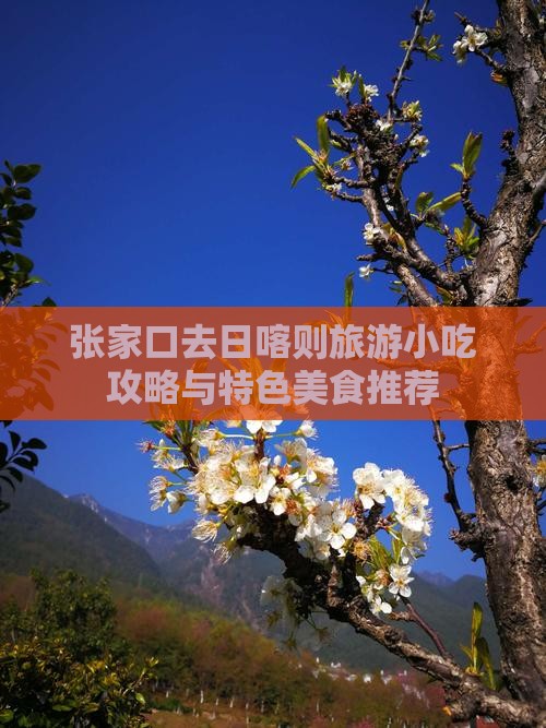 张家口去日喀则旅游小吃攻略与特色美食推荐